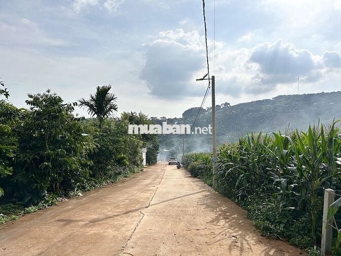 Chính chủ cần bán đất Mê Linh Nam Ban Lâm Hà 234m2 thổ cư 75m2