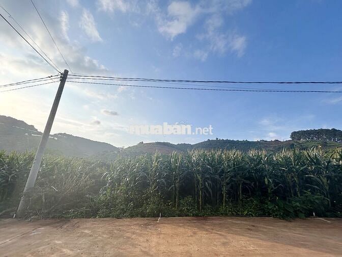 Chính chủ cần bán đất Mê Linh Nam Ban Lâm Hà 234m2 thổ cư 75m2