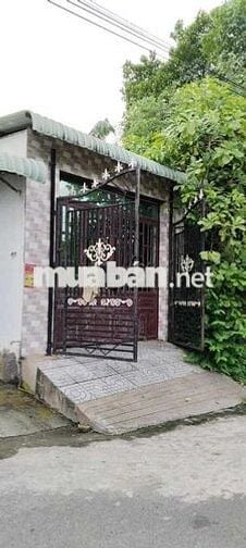 CHO THUÊ NHÀ MẶT TIỀN QUỐC LỘ 51 LONG THÀNH