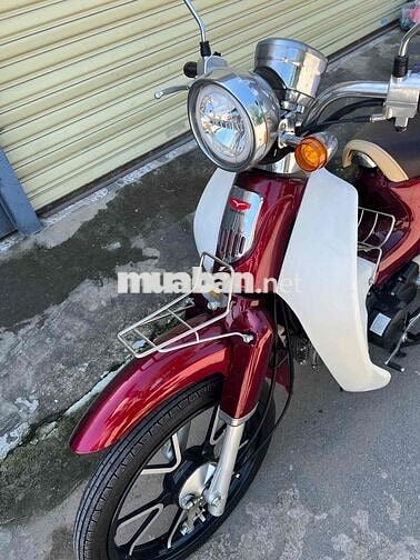 cúp việt thái 50cc