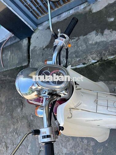 cúp việt thái 50cc