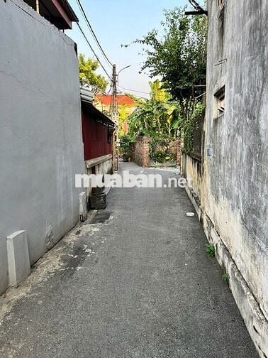 Chính chủ bán 47m² thổ cư Lộc Hà, Đông Anh. Gần cầu Tứ Liên, 5.2 tỷ