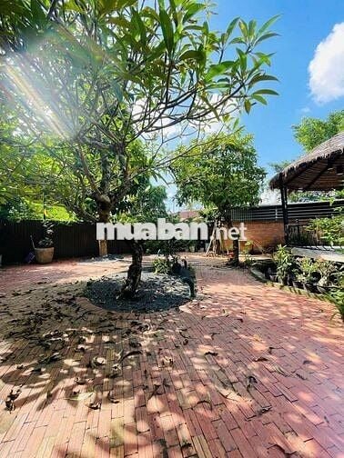NHÀ CHO THUÊ:
BIỆT THỰ SÂN VƯỜN MỚI 100%
-FULL NỘI THẤT CAO CẤP