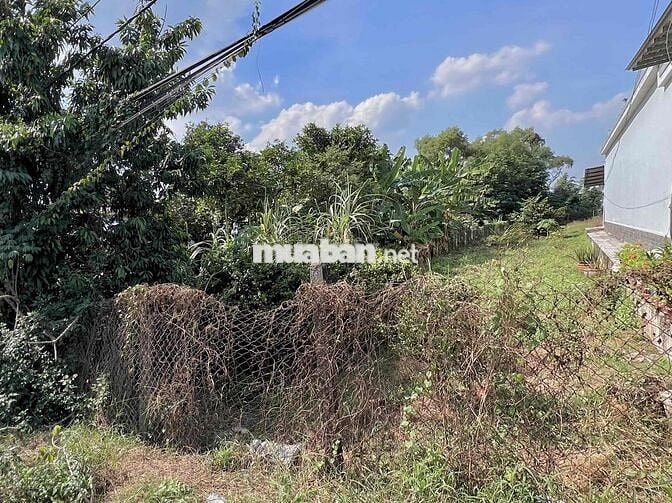 Chính chủ bán đất MT Bến Đường Cát, Tân Thạnh Đông, 560m2, 6.9 Tỷ