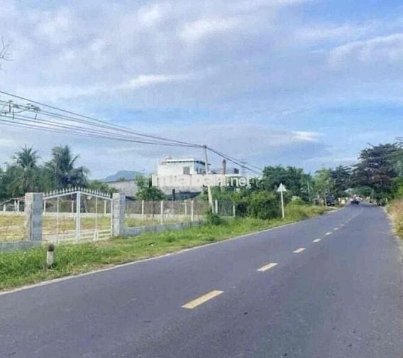 Bán lỗ miếng đất mặt tiền đường DH giá ngộp