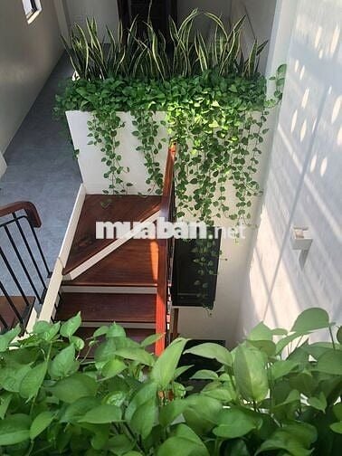 Nhà 43m2 Mặt Phố Thạch Bàn Vào Cách 1 Nhà, Aeon Long Biên -  Hơn 8 tỷ
