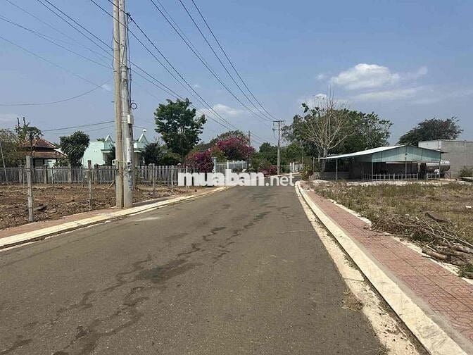 Đất Mặt Tiền Đường nhựa lớn đối diện Chung Cư Mới Khởi Công
