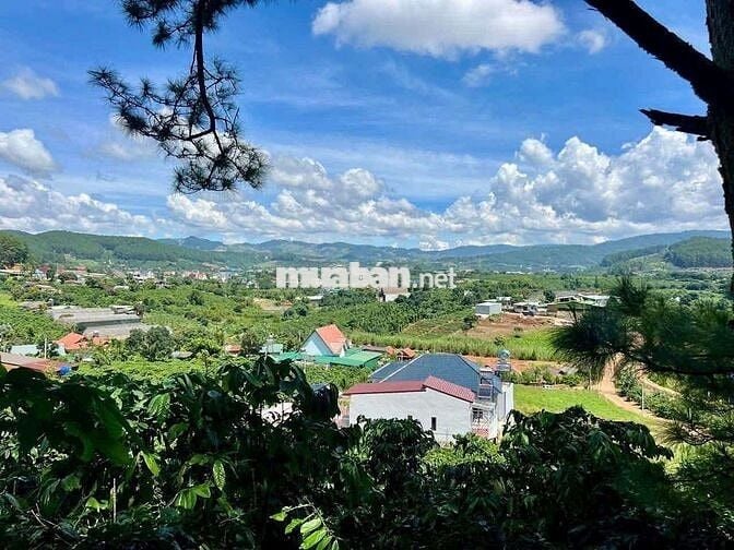 BÁN LÔ ĐẤT CÓ SẴN NHÀ NGHỈ DƯỠNG CHỈ 750 TRIỆU – MÊ LINH, LÂM ĐỒNG