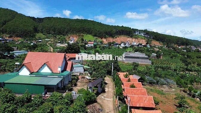 BÁN LÔ ĐẤT CÓ SẴN NHÀ NGHỈ DƯỠNG CHỈ 750 TRIỆU – MÊ LINH, LÂM ĐỒNG