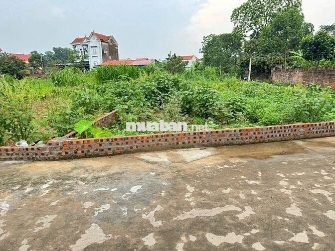Bán đất tổ 9, Quang Minh, Mê Linh. Gần KCN Quang Minh và trường CD Y