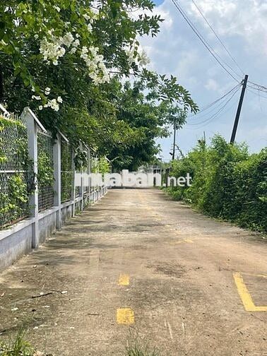Đầu Tư Sinh Lời – Mặt Tiền 5x25m, 3 Tầng/1Tỷ1 Nguyễn Văn Đức, Thuận An