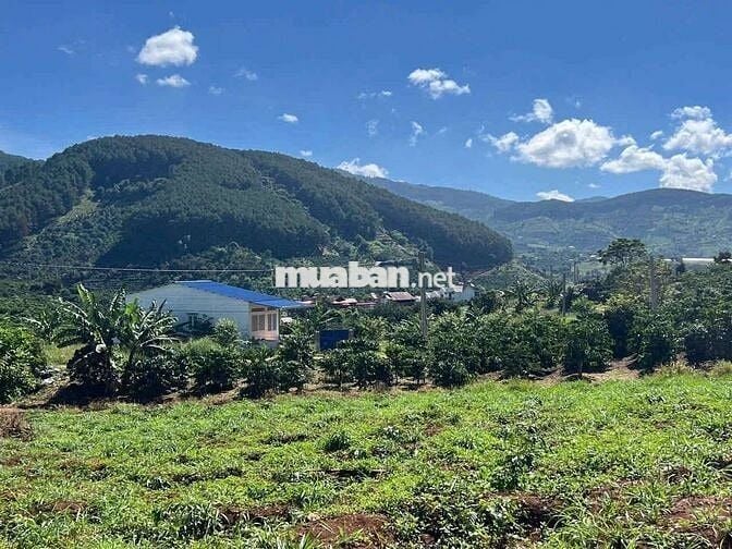 BÁN LÔ ĐẤT CÓ SẴN NHÀ NGHỈ DƯỠNG CHỈ 750 TRIỆU – MÊ LINH, LÂM ĐỒNG