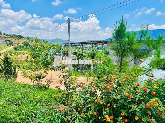 Đất nghỉ dưỡng xã Nam Ban gần khu biệt thự hồ Bãi Công