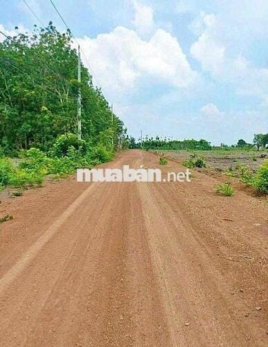 Đất thuộc Hồ Chí Minh vung ven giá rẻ diện tích ngang rộng thổ cư sẵn