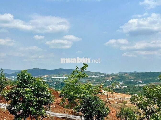 Đất nghỉ dưỡng vùng ven Đà Lạt đã có kè và vườn cây ăn trái