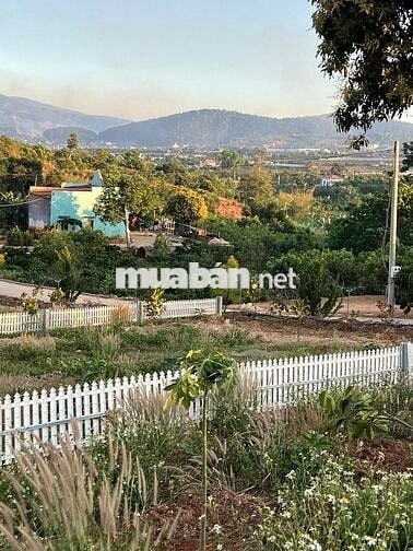 Đất nghỉ dưỡng xã Nam Ban gần khu biệt thự hồ Bãi Công