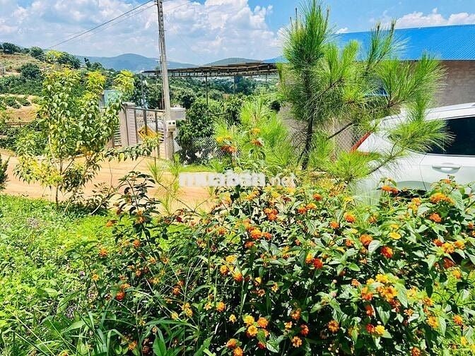 Đất nghỉ dưỡng xã Nam Ban gần khu biệt thự hồ Bãi Công