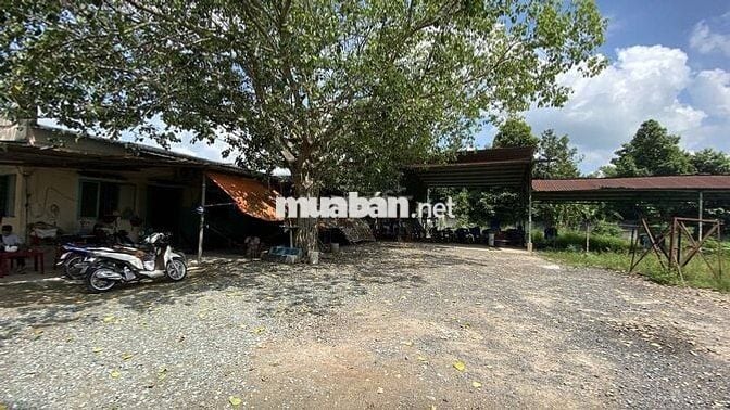 Bán đất tại Nguyễn Thị Lắng, 35 tỷ, 5077.6m2, Củ Chi, HCM