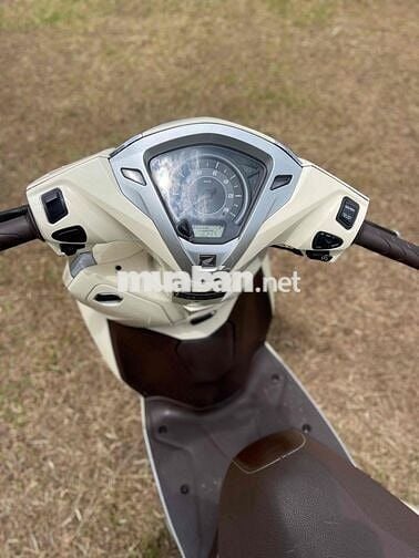 LEAD 125 2019 ngay chủ ký