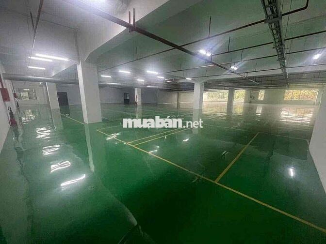 CHO THUÊ NHÀ XƯỞNG LẦU TRỆT SẢN XUẤT ĐA NGÀNH NGHÊ KCN VISHIP1
