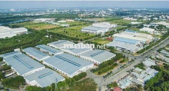 🏗️ BÁN LÔ ĐẤT KHU CN NINH SỞ – DIỆN TÍCH 1000M² – GIÁ 11.X TRIỆU/M² 🏗️