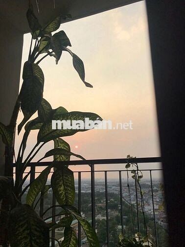 Charm City Dĩ An bán căn hộ 2pn1wc 55m2 Full Nội thất giá 2ty050