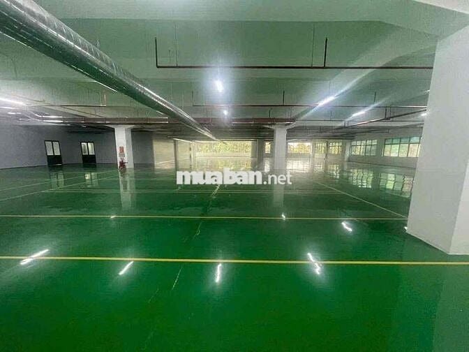 CHO THUÊ NHÀ XƯỞNG LẦU TRỆT SẢN XUẤT ĐA NGÀNH NGHÊ KCN VISHIP1