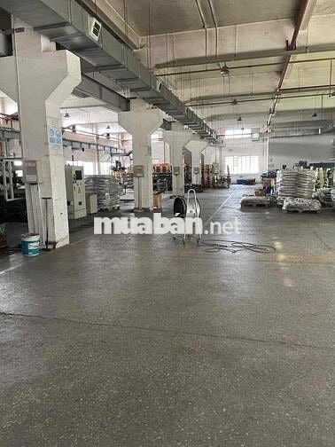 CHO THUÊ NHÀ XƯỞNG LẦU TRỆT SẢN XUẤT ĐA NGÀNH NGHÊ KCN VISHIP1