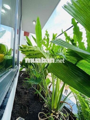 NHÀ QUÁ ĐẸP 1 XẸC TX25 – Q12 | FULL NỘI THẤT CAO CẤP – LỬNG 3 LẦU