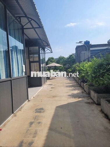 🧣Cho thuê Mặt Bằng DT 1000m 800m Sử Dụng