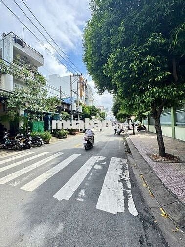 Nhà thuê Mặt Tiền Trần Thị Báo. Quận Tân Phú (2pn, 2wc) Dtsd 140m2