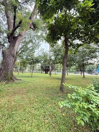 Bán nhà 74/4/1 Bạch Đằng, P.2, Q.Tân Bình, sát sân bay
