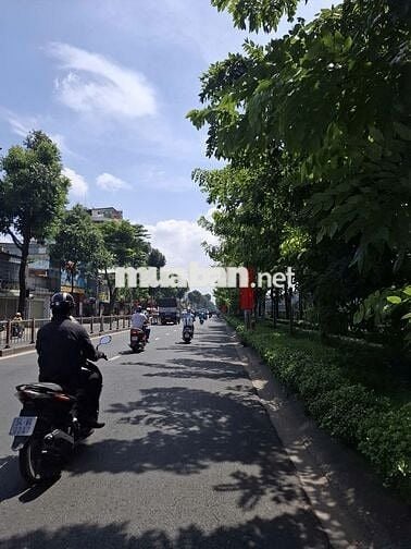 Bán đất tại Quang Trung, Gò Vấp, Hồ Chí Minh, giá cực tốt 6,8 tỷ, 88m2