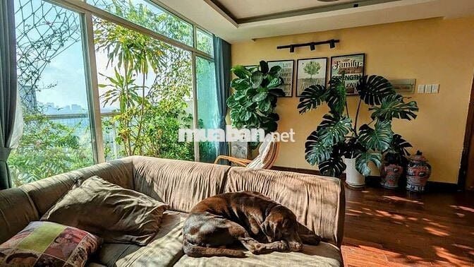 Bán gấp căn 2 phòng tại HAGL3 giá đầu tư, chỉ 3ty850 - sổ hồng cầm tay