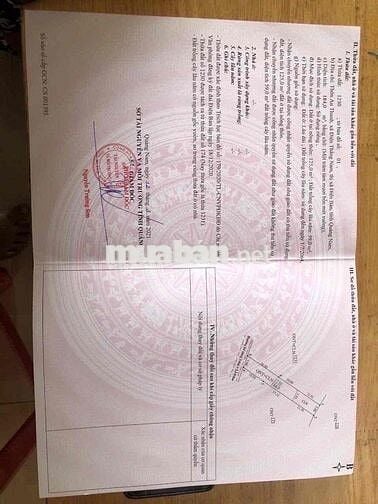 Bán đất sạch đẹp Điện Thắng Nam