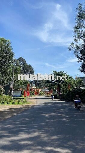 Bán đất thổ cư MT DH504 thích hợp kinh doanh, 570tr/ 147,7m2, SHR