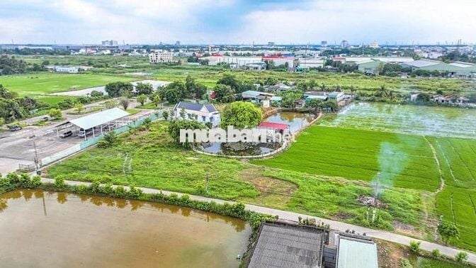 Đất Trung Tâm Bến Lức – Sổ Riêng, Đường Nhựa Ô Tô – Giá Chỉ 2.3 Tỷ