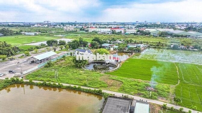 Đất Trung Tâm Bến Lức – Sổ Riêng, Đường Nhựa Ô Tô – Giá Chỉ 2.3 Tỷ