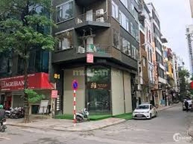 Bán nhà mặt phố Linh Lang 84m x 5T, mặt tiền7m, giá 62,8 tỷ