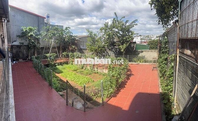 cần bán nhà và đất hẻm 52 Hồ Tùng Mâuh