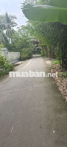 GIÁ RẺ NHẤT VỚI DT 6X25 =150M2 CLN SAU LƯNG KHU THIÊN LỘC