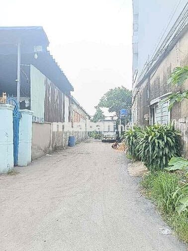 250M2 QUÁCH ĐIÊU - FULL THỔ CƯ - HXT - KHÔNG LỖI - SỔ A4 - TIỆN XÂY