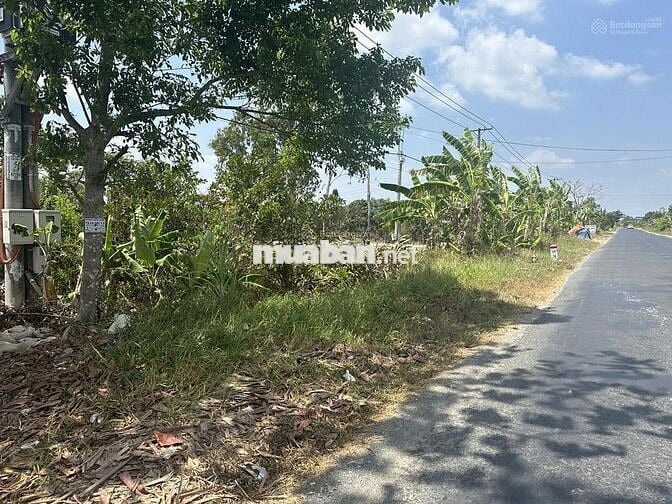 BÁN 6 THỬA ĐẤT MT QL NAM SÔNG HẬU QL 91C-CẦN THƠ (DC MỚI) – SÓC TRĂNG
