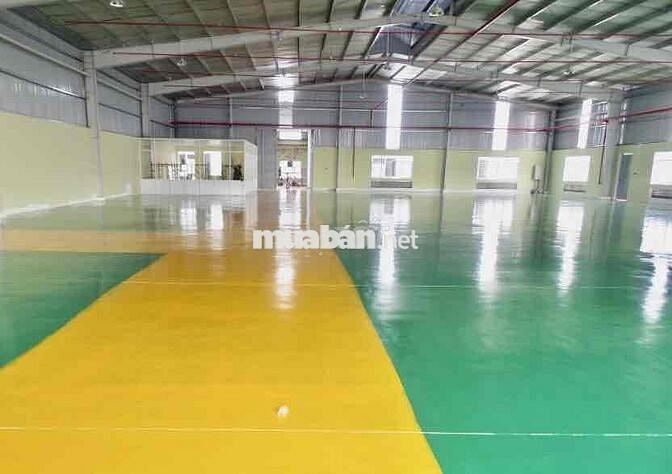 🔴 Xưởng 6000m2, đường quốc lộ 50, xã Mỹ lệ, huyện cần đước, Long An