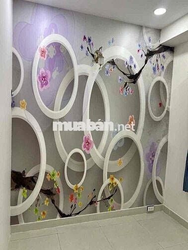 cho thuê nhà nguyên căn hẻm Văn cao, tân phú