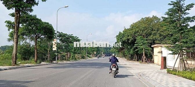 bán đất xuân nộn. Giá đẹp đầu tư bán đất xuân nộn. Giá đẹp đầu tư