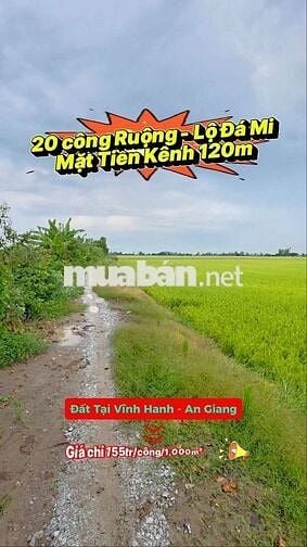 20 công ruộng, xe 2 bánh tới đất, mặt tiền kênh 120m