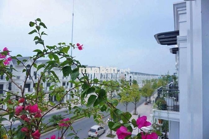 Cho thuê biệt thự 3 phòng ngủ giá 13tr vinhomes gia lâm