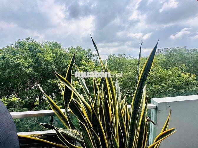 BÁN NHANH CĂN HỘ EMERALD 2PN VIEW CÔNG VIÊN 16 HA