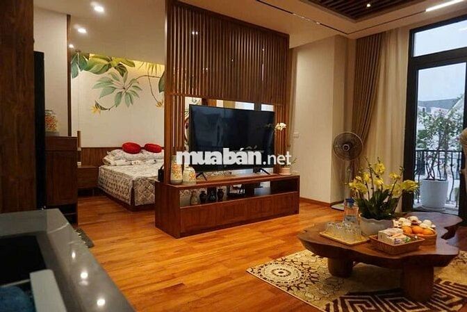 Cho thuê biệt thự 3 phòng ngủ giá 13tr vinhomes gia lâm